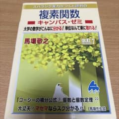 スバラシク実力がつくと評判の複素関数キャンパス・ゼミ : 大学の数学