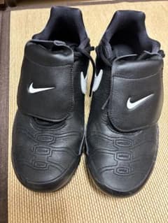 NIKE AIR MAX PLUS TIEMPOのサムネイル