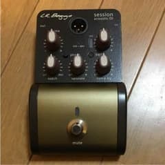 LR baggs session DIのサムネイル