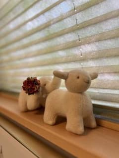 まささん専用のサムネイル