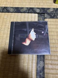 SHYHEIM  THE RUGGED CHILDのサムネイル