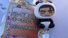 海沼流星　パンダ着ぐるみキーホルダー　シクレのサムネイル