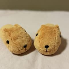 카피바라씨 봉제인형