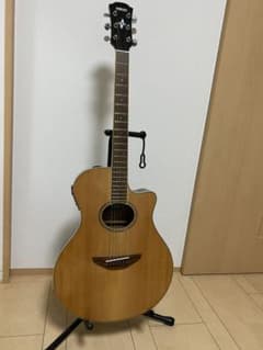 YAMAHA APX600のサムネイル