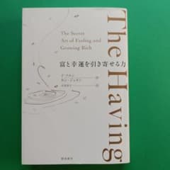 The Having : 富と幸運を引き寄せる力のサムネイル