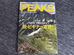 PEAKS 2013年6月号 No.43 脱・ビギナー宣言 登山 登山 山登りのサムネイル