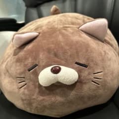 にゃもち ちょこ - メルカリ