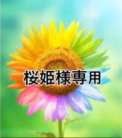 ❤️多肉植物プレゼント付き❤️コンテナ車のサムネイル