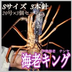 伊勢海老テンヤ仕掛け×10 伊勢海老テンヤ仕掛け×10 伊勢海老仕掛けテンヤ(8個セット) - メルカリ