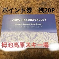 栂池高原スキー場リフト券 Moo様専用☆栂池高原スキー場☆リフト券+ランチ券☆3セット 【公式通販】