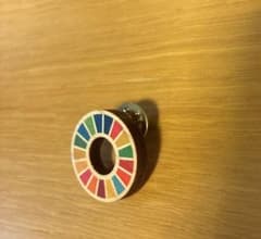 SDGs ピンバッチ　木製