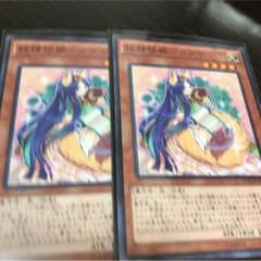 妖精伝姫 カグヤ     ２枚のサムネイル