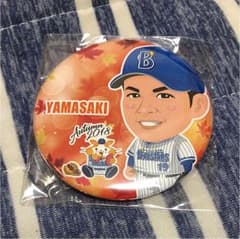 アキ様 専用   横浜DeNAベイスターズ レアのサムネイル