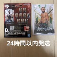 이치 반 쿠지 RIZIN 오기 쿠보 박정 B상 아크릴 스탠드
