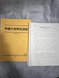 駿台テキスト　早慶大世界史演習 2025年版のサムネイル