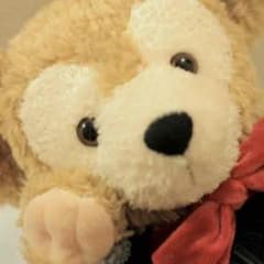A様専用ですのサムネイル