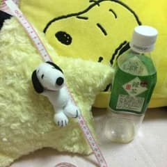 ふぅみかん様専用   スヌーピークッションのサムネイル