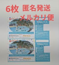 東京　サマーランド 1Dayパス　6枚 　株主　ご招待券　優待のサムネイル