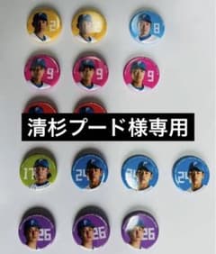 日本ハムファイターズ　ローソン限定マグネットセットのサムネイル