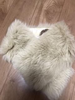 フェラガモ　ファーのサムネイル