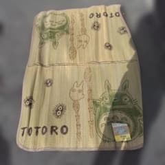 ジブリパーク | ジャガードマルチクロス 風の女神の息吹き【美品