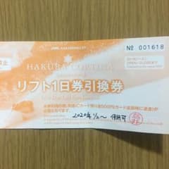 リフト券　コルチナスキー場のサムネイル