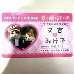 なめ猫 又吉&みけ子 カップルライセンス - メルカリ
