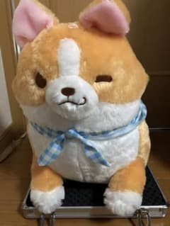 忠犬もちしば　ででーんと超BIGこむぎ