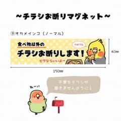 チラシお断りマグネット(オカメインコノーマル)のサムネイル