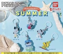 PEANUTS めじるしアクセサリー SUMMER コンプリートのサムネイル