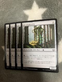 MTG 나남의 코브라 4장 세트 2번째 무료 1924