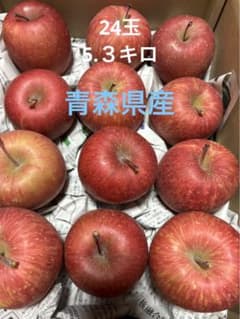 青森県産りんご　ミニサイズ　フジのサムネイル