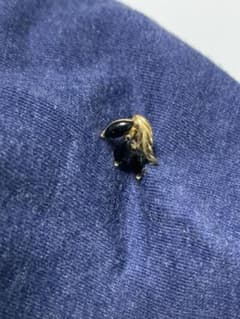 両耳ピアスのサムネイル