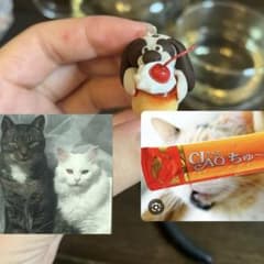 チーズケーキ様　専用ページ　オーダーメイド×2のサムネイル
