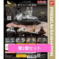 いきもの大図鑑ディスプレイモデルコレクション野性のイヌ科動物　狸2個セットのサムネイル