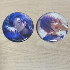 プロセカ KAITO グリッター缶バッジ 7a フェス限 まとめ売り プロセカ グリ缶 フェス限 vol.7A vol.8A まとめ売り KAITO - メルカリ