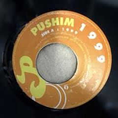 PUSHIM - 1999 7インチ レコード - メルカリ