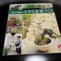 山田香織の小さな盆栽づくり : 季節の風情を楽しむのサムネイル