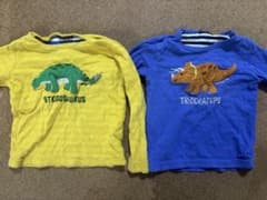 【双子】Moujonjon ステゴサウルス トリケラトプス 120のサムネイル