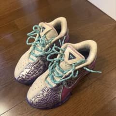 NIKE バスケットボールシューズ 24.5cm レブロンXX IIのサムネイル