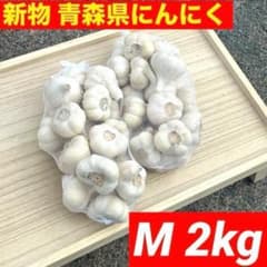 お得！新物 青森県 福地ホワイト にんにく M 2kg 加工 食用 種にんにく