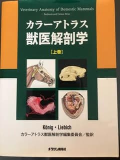 カラーアトラス獣医解剖学 上巻のサムネイル