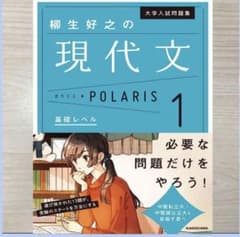 大学入試問題集 柳生好之の現代文ポラリス 1 基礎レベルのサムネイル