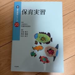 保育実習 新基本保育シリーズ 20のサムネイル