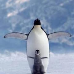 のじさま専用のサムネイル