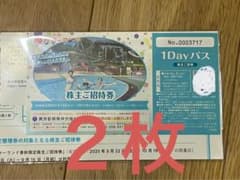 東京サマーランド 株主優待券 ２枚のサムネイル
