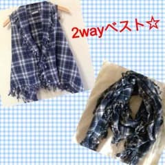 2wayベスト☆のサムネイル