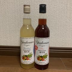 エリカ健康道場 優光泉のサムネイル