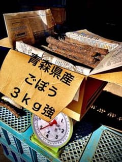 ３ｋｇ(強)！ごぼう(土付き)日本一の青森県産！規格外カット品※サイズ混合セットのサムネイル