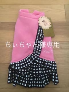 犬服　小型犬チワワのサムネイル